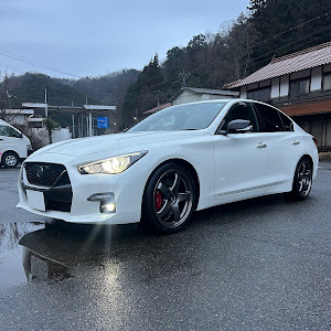 スカイライン RV37