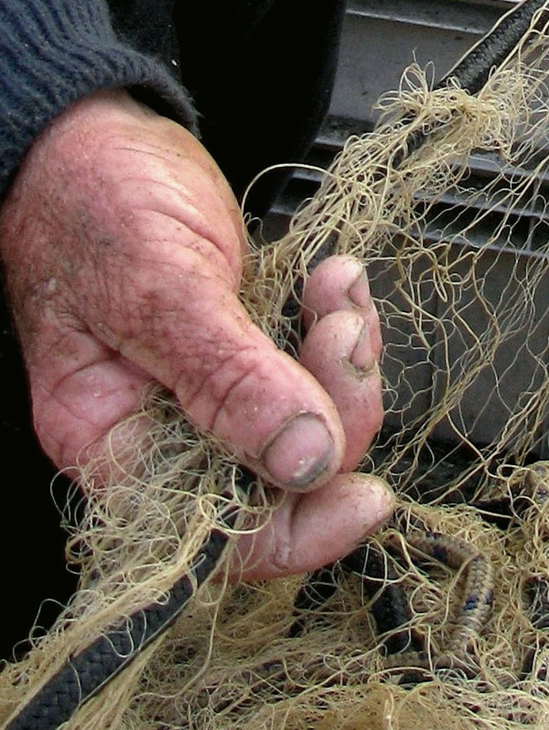 Il Pescatore di Elisabetta Di Girolamo