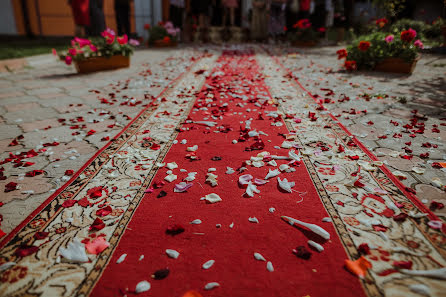 Fotógrafo de casamento Nikolay Chebotar (cebotari). Foto de 19 de maio 2022