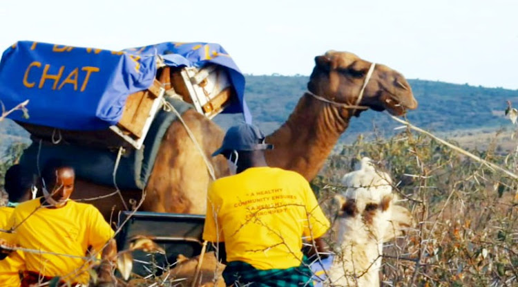 CHAT employees load family planning supplies on camel back to reach pastoralists in remote areas of Northern Kenya.