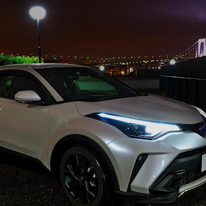 C-HR ZYX11