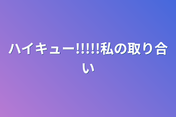 ハイキュー!!!!!私の取り合い