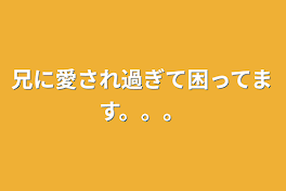 兄に愛され過ぎて困ってます。。。