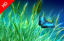 Butterfly - New Tab in HD small promo image