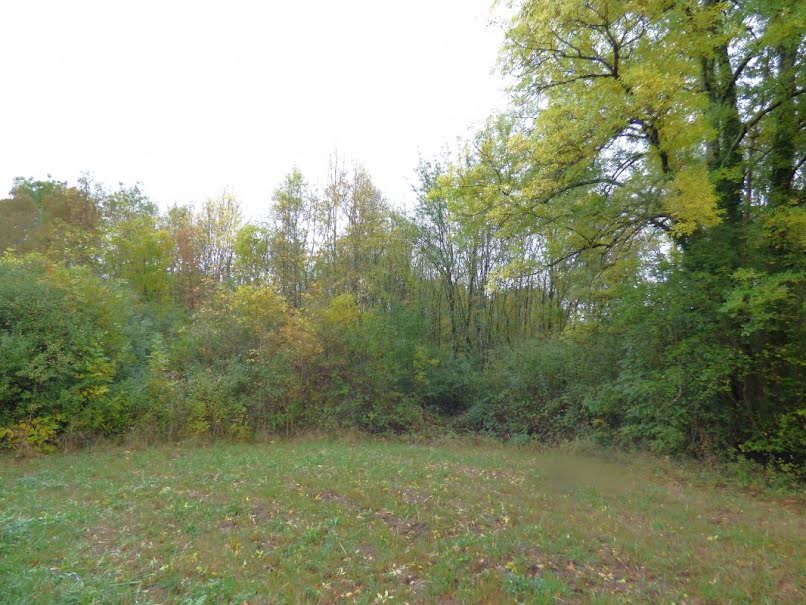 Vente terrain  5420 m² à Saint-Nexans (24520), 50 500 €