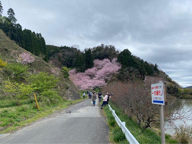 の投稿画像4枚目