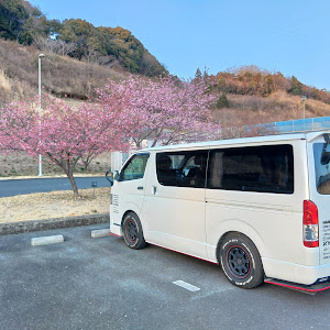 ハイエースバン TRH200V