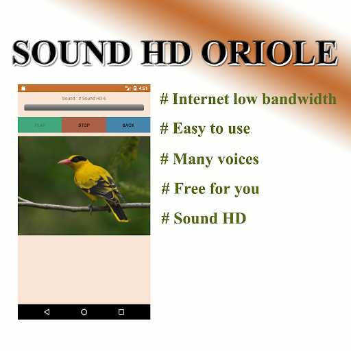 Turtles sound to birds. 5.0 screenshots 2