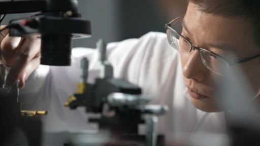 Otkrića u intravitalnom snimanju