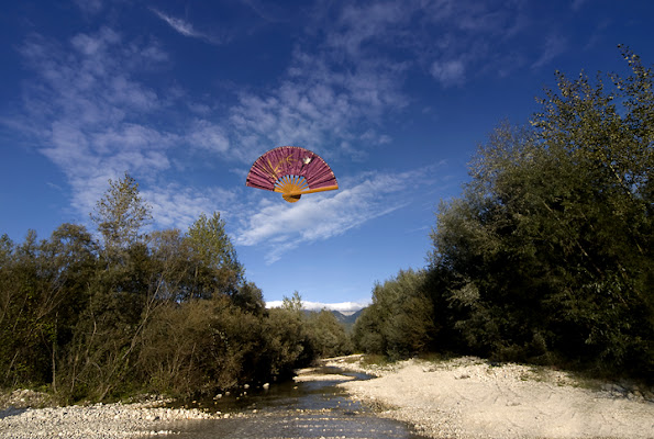 Purple in the wind di utente cancellato