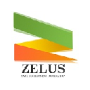 Zelus Order Tool Chrome extension download