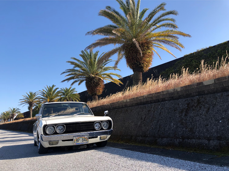 ダットサントラックのSimplyClean・低そうで低くない少し低い車・あとひと踏ん張り・discover_ct・左斜め前写真展に関するカスタム事例の投稿画像11枚目
