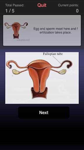 免費下載醫療APP|Palmetto Pregnancy Center app開箱文|APP開箱王