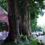 青青食尚花園會館