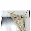 miniatures image - 2