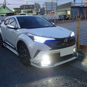 C-HR ZYX10