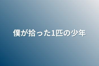 僕が拾った1匹の少年