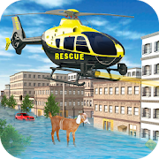 US Irma Hurricane Rescue Simulator  Icon