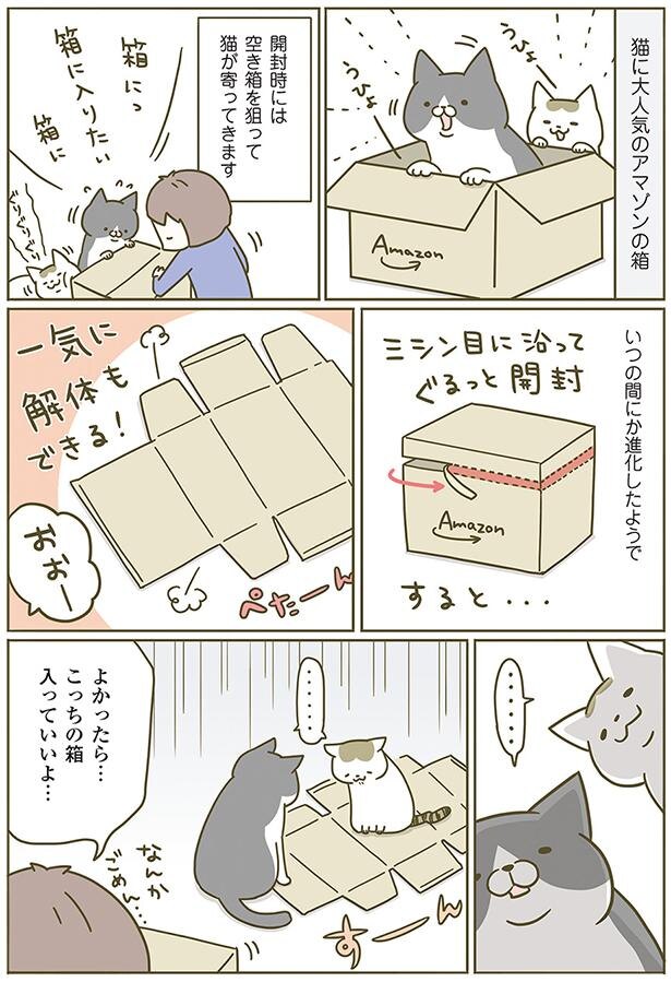 猫たちのお気に入りの場所 うちの猫がまた変なことしてる 6 Trill トリル