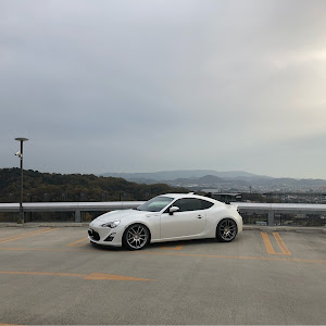 86 ZN6
