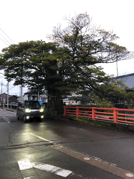 ウェイクの新年のご挨拶・謹賀新年に関するカスタム事例の投稿画像3枚目