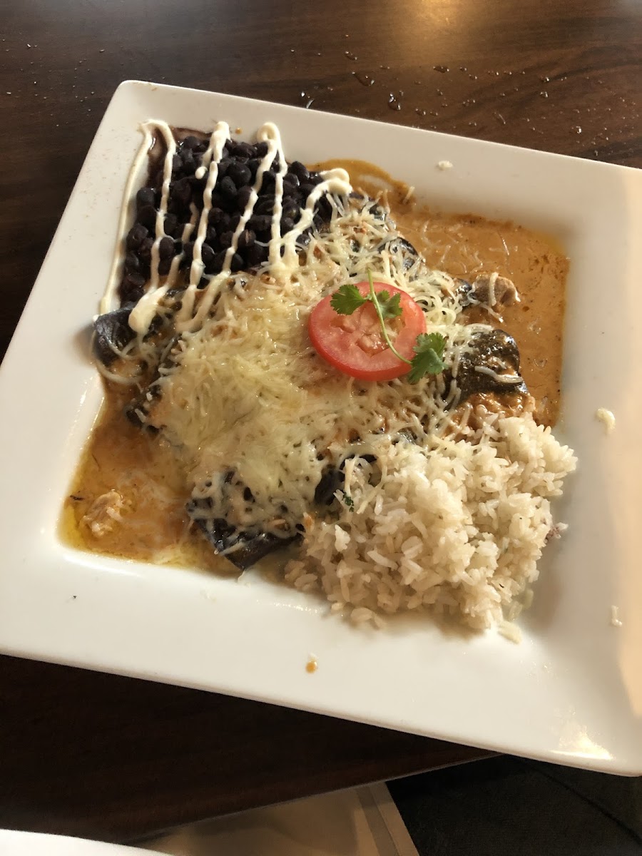 Sooo good!  Most of the menu is or can be made GF.  The blue corn enchiladas with chicken are so good!  We’re only visiting or this would be my new go-to restaurant.