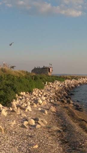 Goose Island Shack