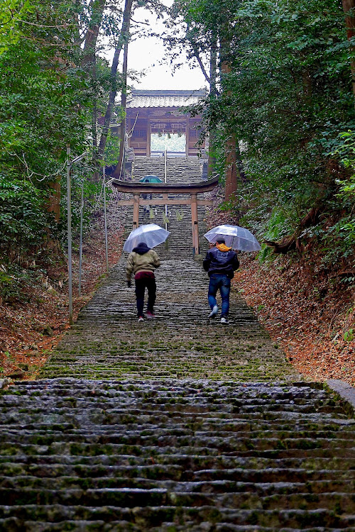 の投稿画像7枚目