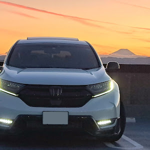 CR-V RW1