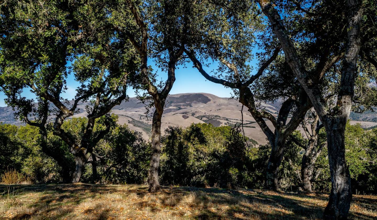 Terrain Carmel Valley Village