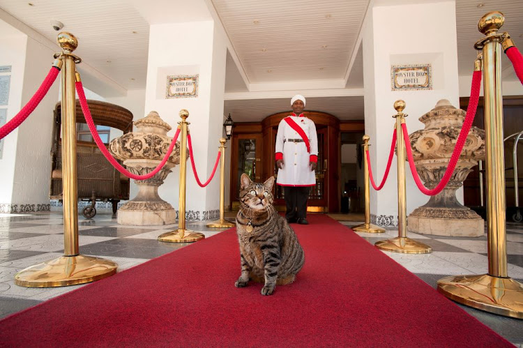 The Oyster Box Hotel, Durban.