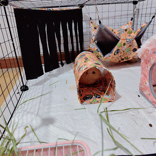 Title 7, Warm Double-layer Sandwich Hammock Pet Bed Prov...
