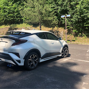 C-HR NGX50