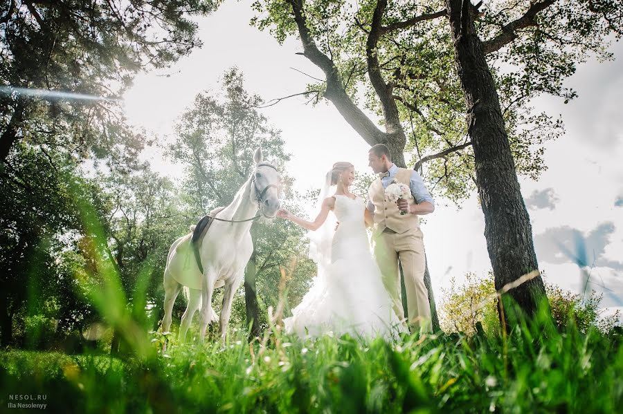 Fotograful de nuntă Ilya Nesolenyy (nesol). Fotografia din 6 ianuarie 2015