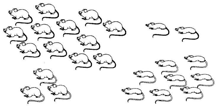                                                                          Figura 8
Observa la figura 8. ¿Piensas que hay una relación entre el tamaño de los ratones y el color de su rabo? 
