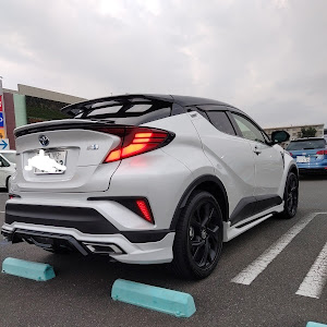 C-HR ZYX11