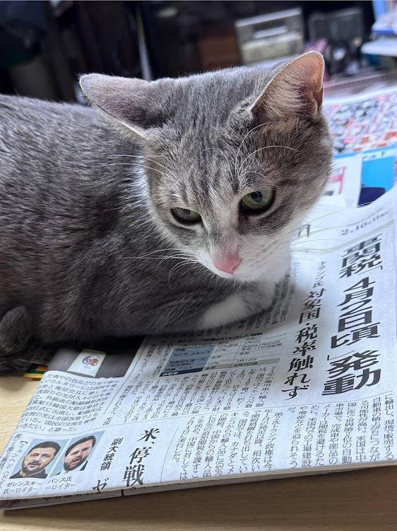 パレットSWのいつもいいね＆コメントありがとうございます🥰・フォロワーの皆さんに感謝します🙇‍♂️・フォロワーでない方からのいいねも感謝します😁・弄りは休憩と言いながら……🫣💦👅・今週はまだまだ❄️❄️❄️🌬️⛄️🥶に関するカスタム事例の投稿画像8枚目