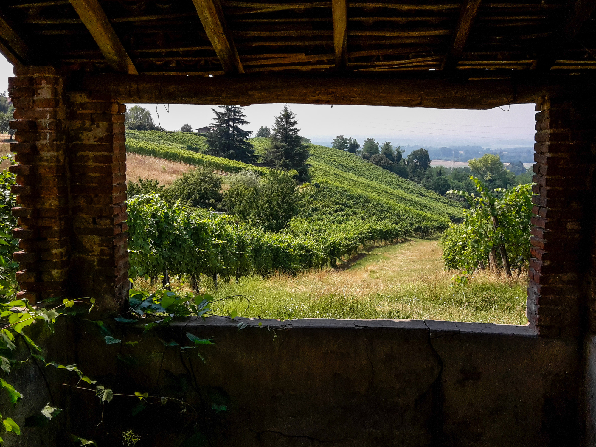 Natura in cornice di Cristian Pedrini