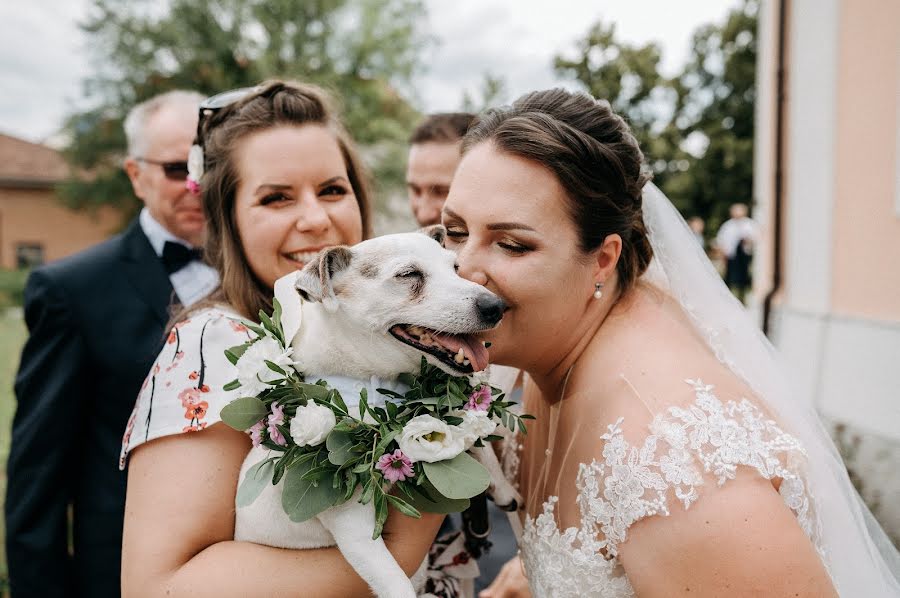 Fotografo di matrimoni Marcin Pech (marcinpech). Foto del 16 dicembre 2020