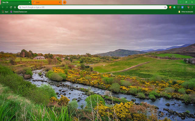 Irish Beauty chrome extension