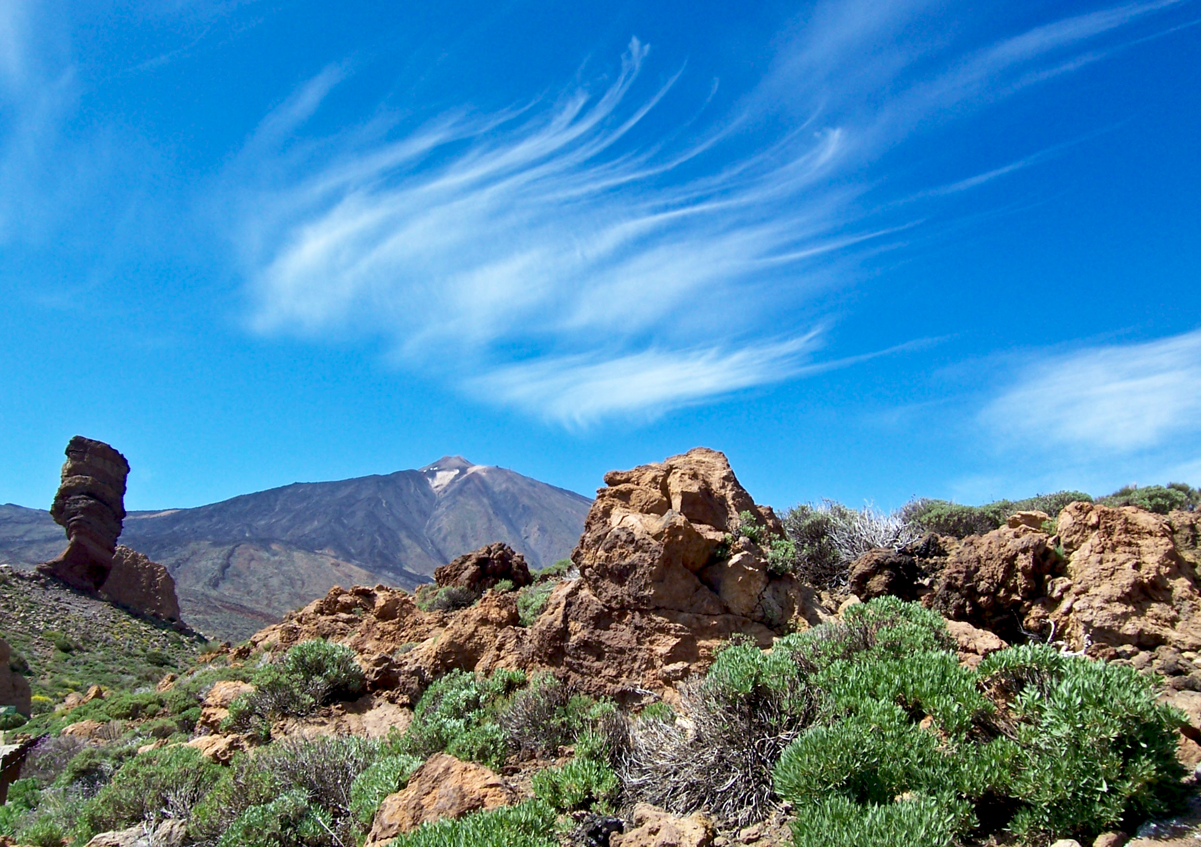 Le rondini del Teide di Elicla46