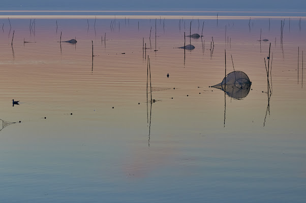 Il colore dell'acqua è il colore del cielo di Carlo Macinai