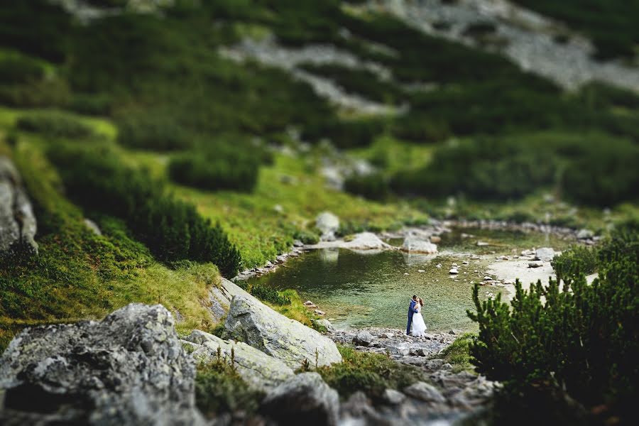 Kāzu fotogrāfs Paweł Naglik (subtelnie). Fotogrāfija: 3. septembris 2016