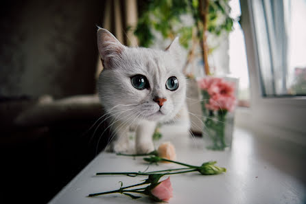 Wedding photographer Anna Chugunova (anchoys). Photo of 25 August 2016