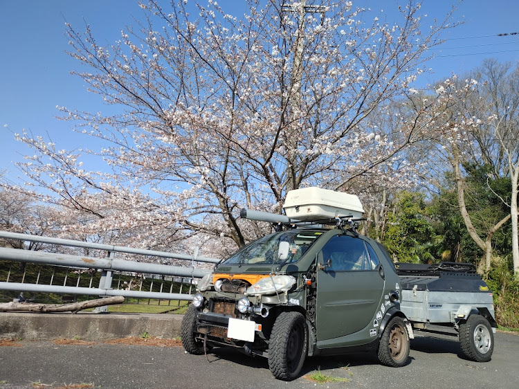 の投稿画像1枚目