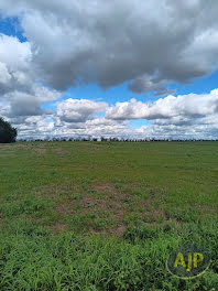 terrain à Saint-Aubin-la-Plaine (85)