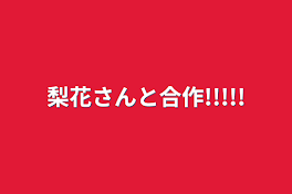 梨花さんと合作!!!!!