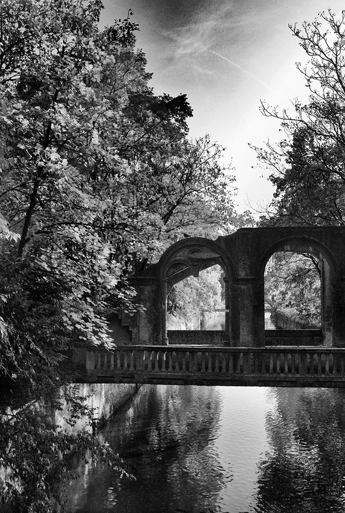 Nel parco di Claudio Bottini