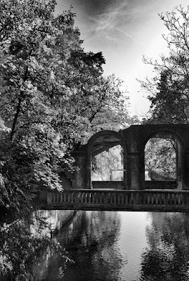 Nel parco di Claudio Bottini