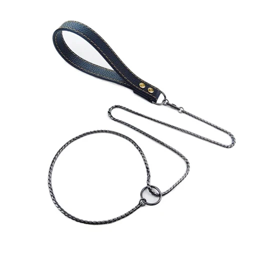 Integrated Dog Slip Chain Collar Leash 304 Stainless Steel Dog Metal Choke Collar Pet Training Leash Show with Leather H